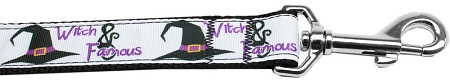 Witch and Famous Nylon Dog Leash 5/8 inch wide 4ft Long